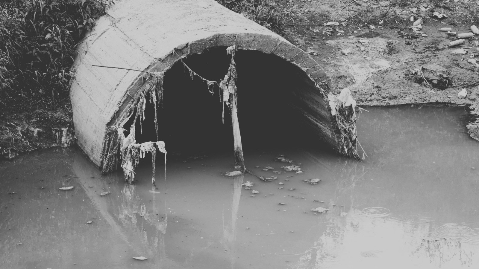 Thousands of serious pollution incidents downgraded without direct inspection
